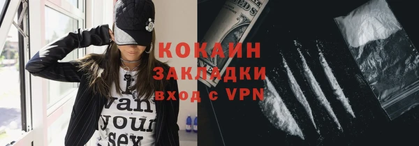сатива Балахна