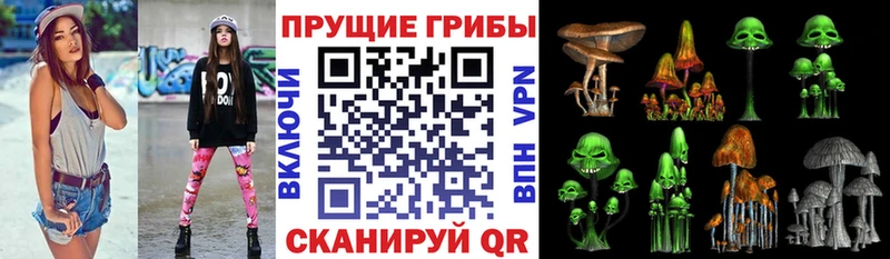 Псилоцибиновые грибы Psilocybine cubensis  Купить закладки  Россошь 